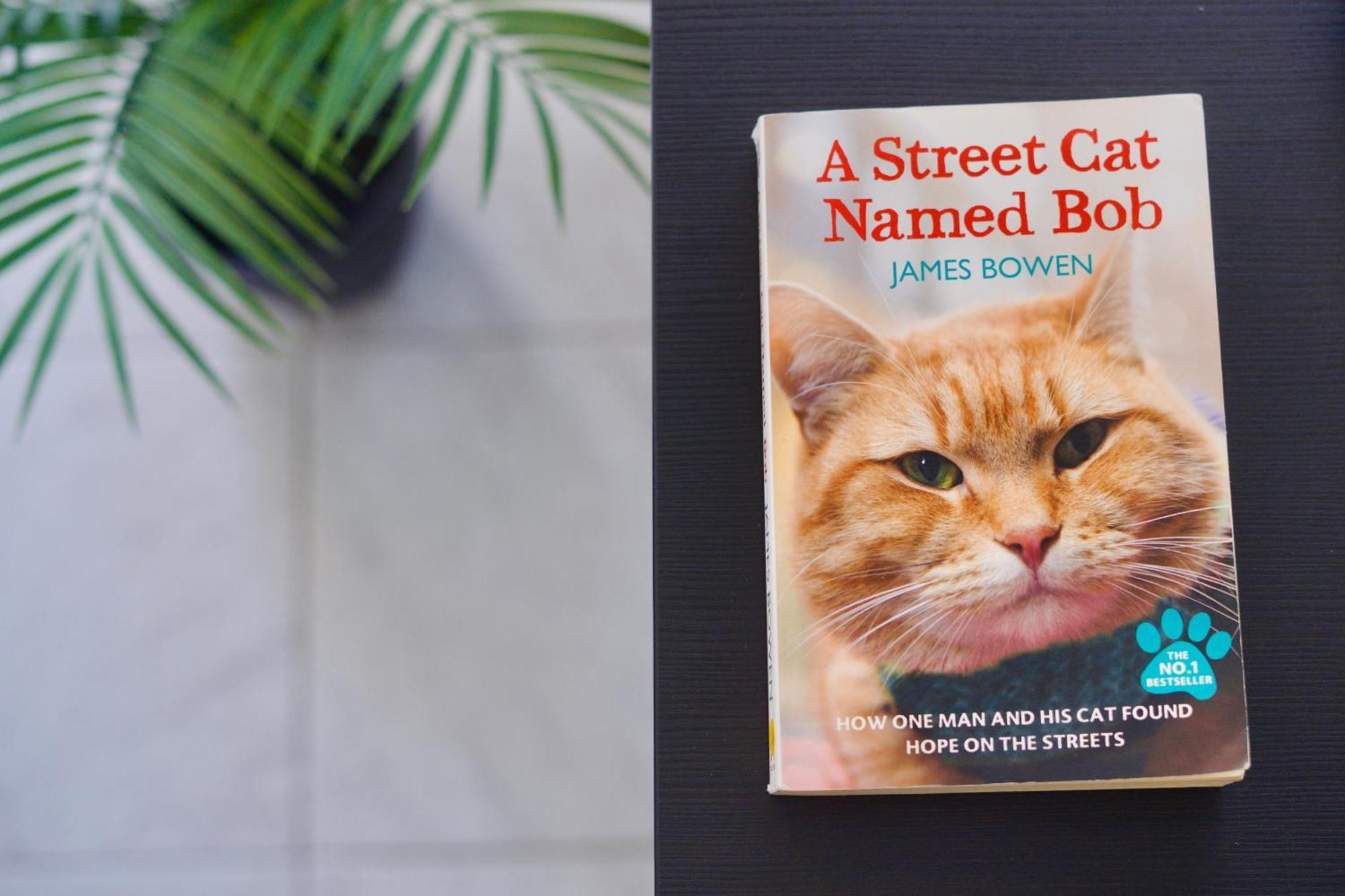 Apartamento El Gato Costa del Silencio Eksteriør billede